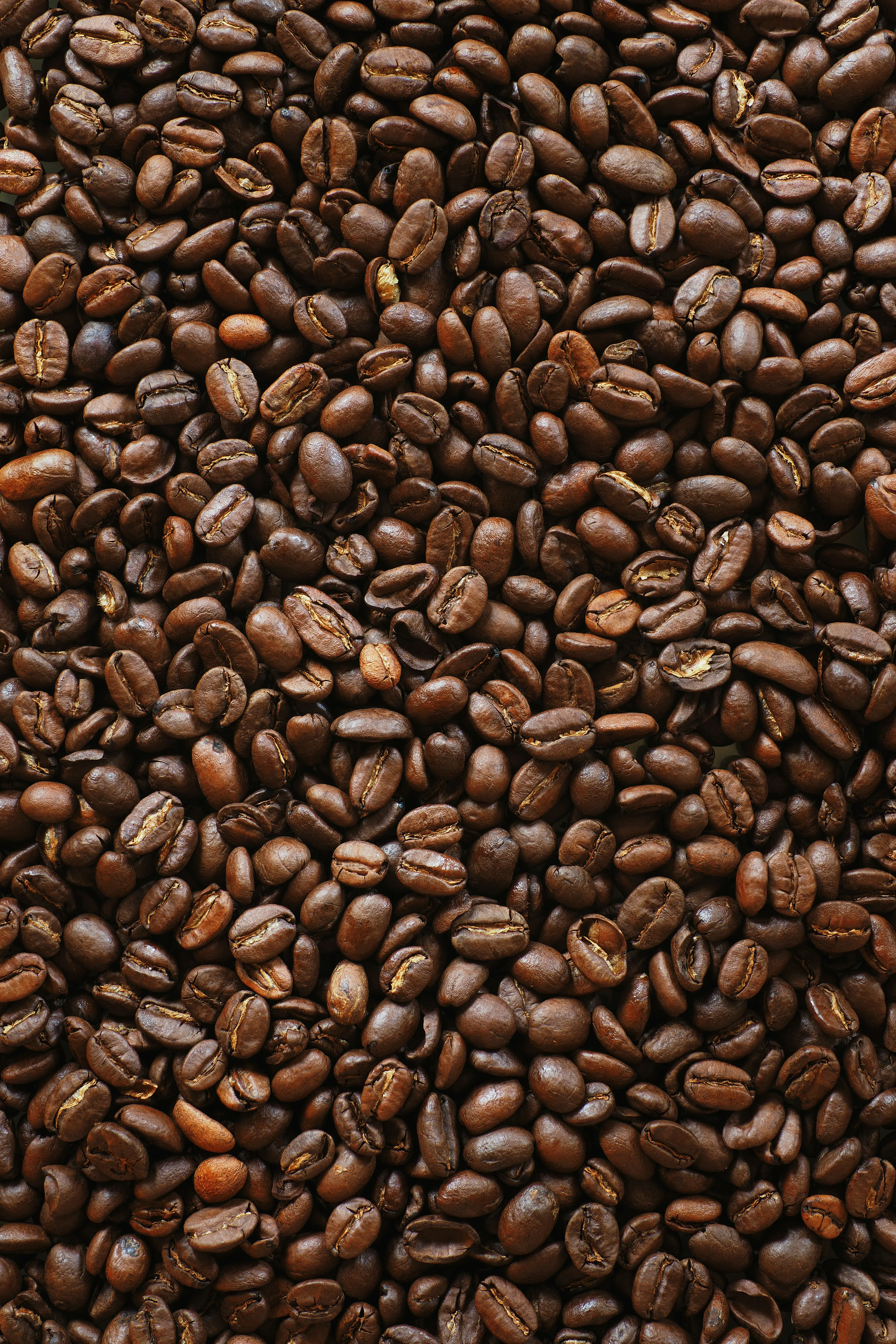 Geröstete Kaffeebohnen der Sorte Inselwind